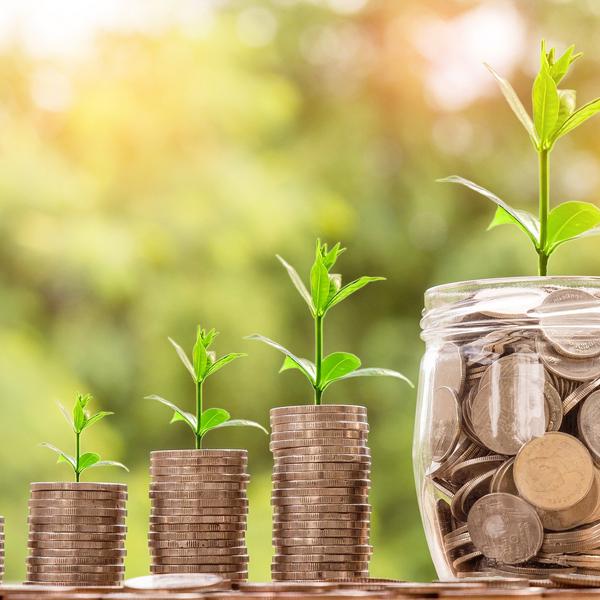 Photo of 4 piles of coins with green plant seedling out of the top in successively larger piles with a jar full of coins at the end with a larger seedling growing from it.  